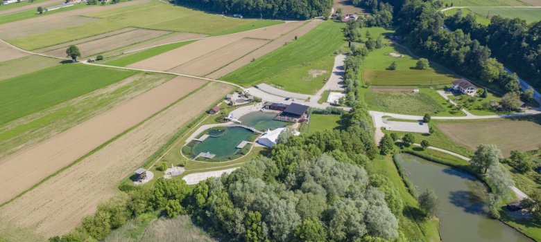 Beautiful shot of the Green resort and water park surrounded by trees and a large field