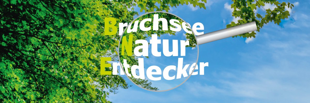 Luftaufnahme sportplatz Centgericht