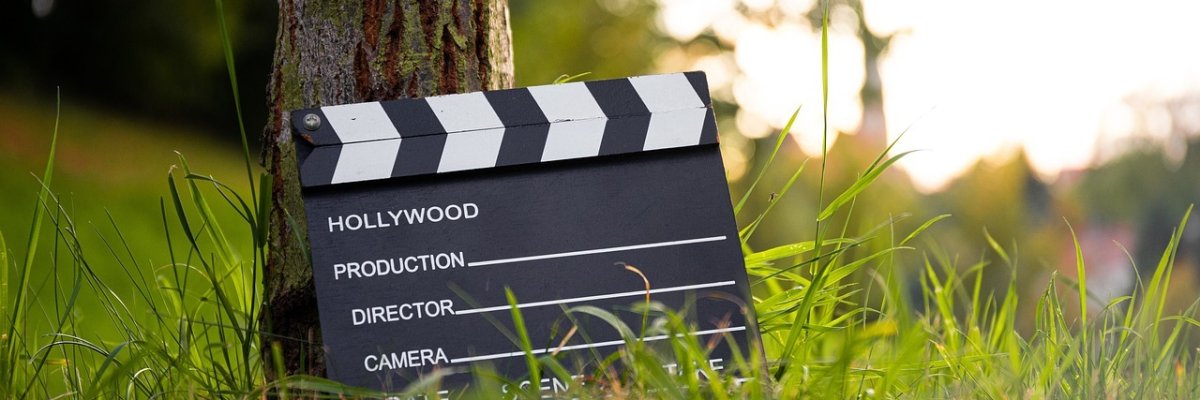 Filmklappe an Baum angelegt auf Wiese