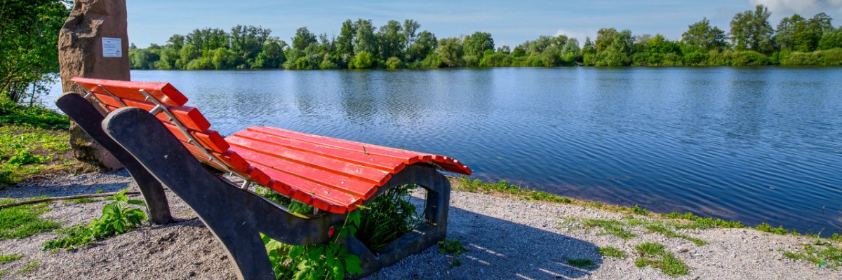 Panoramabank am Bruchsee mit Blick aufn den See