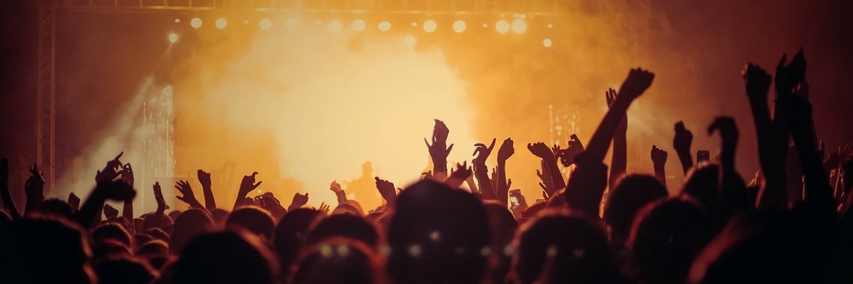 Menschenmenge bei Konzert