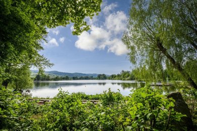 Bruchsee Blick über den Bruchsee