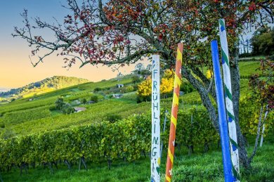 Weinberg Bild Rundwanderwege