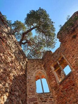 Auerbacher Schloss Auerbacher Schloss