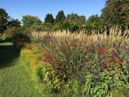 Hermannshof Weinheim Blüte im Hermannshof