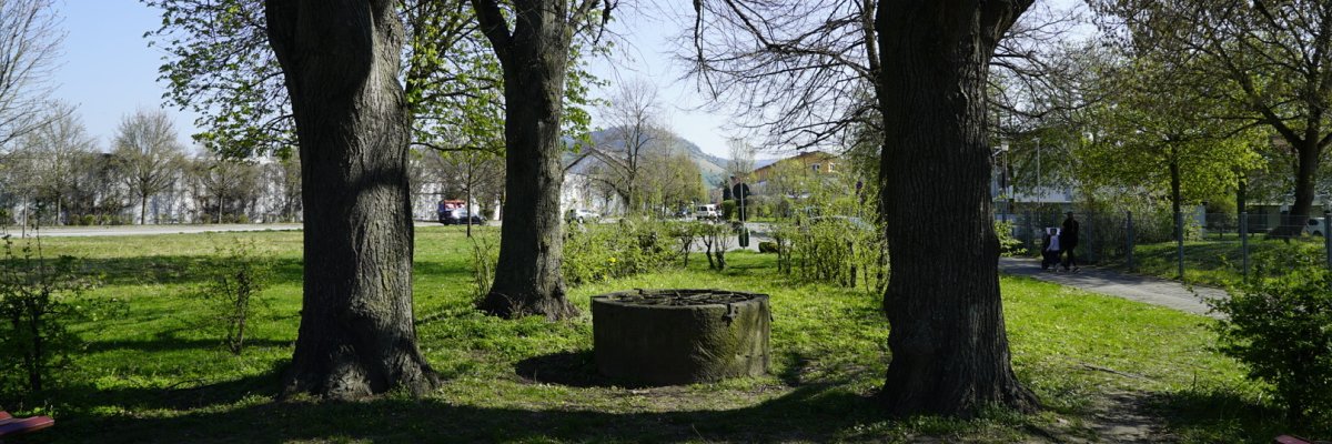 Siegfriedbrunnen umgeben von Wiese und Bäumen