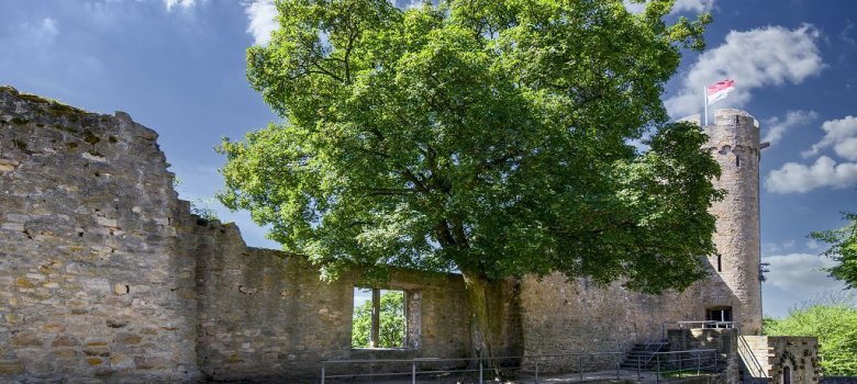 Starkenburg Die Starkenburg und Ihrer Festungsmauer