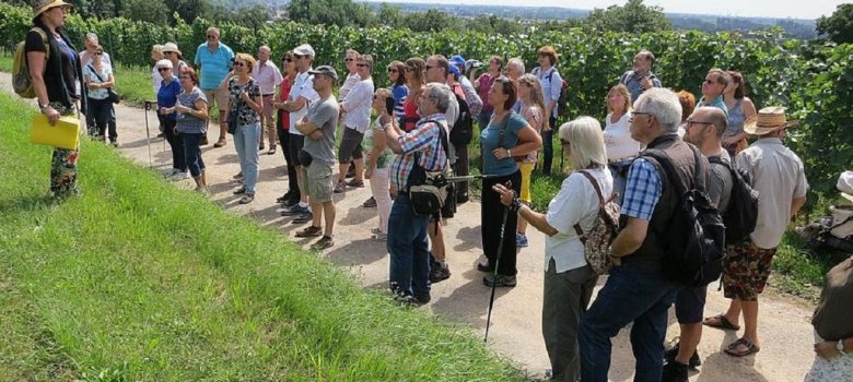 Führung Geschichten am Wegesrand Gruppe im Weinberg