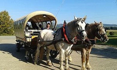 Pferde mit Planwagen
