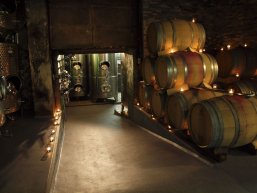 Weinkeller Weingut Freiberger Keller Weingut Freiberger