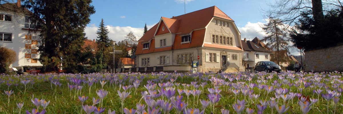 Außenansicht Stadtbücherei
