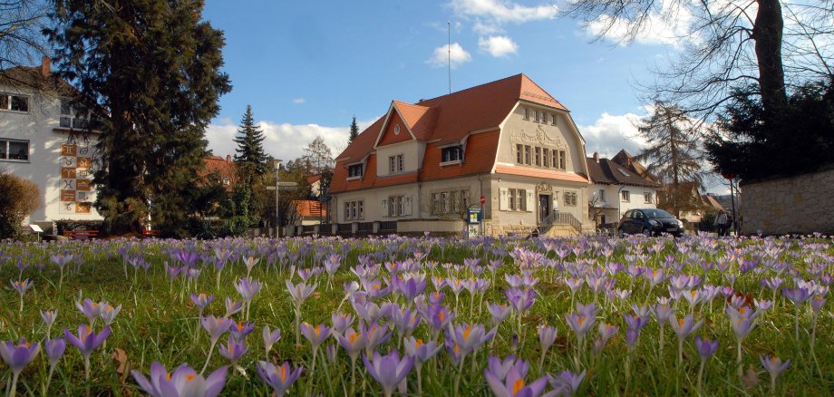 Stadtbücherei Stadtbücherei