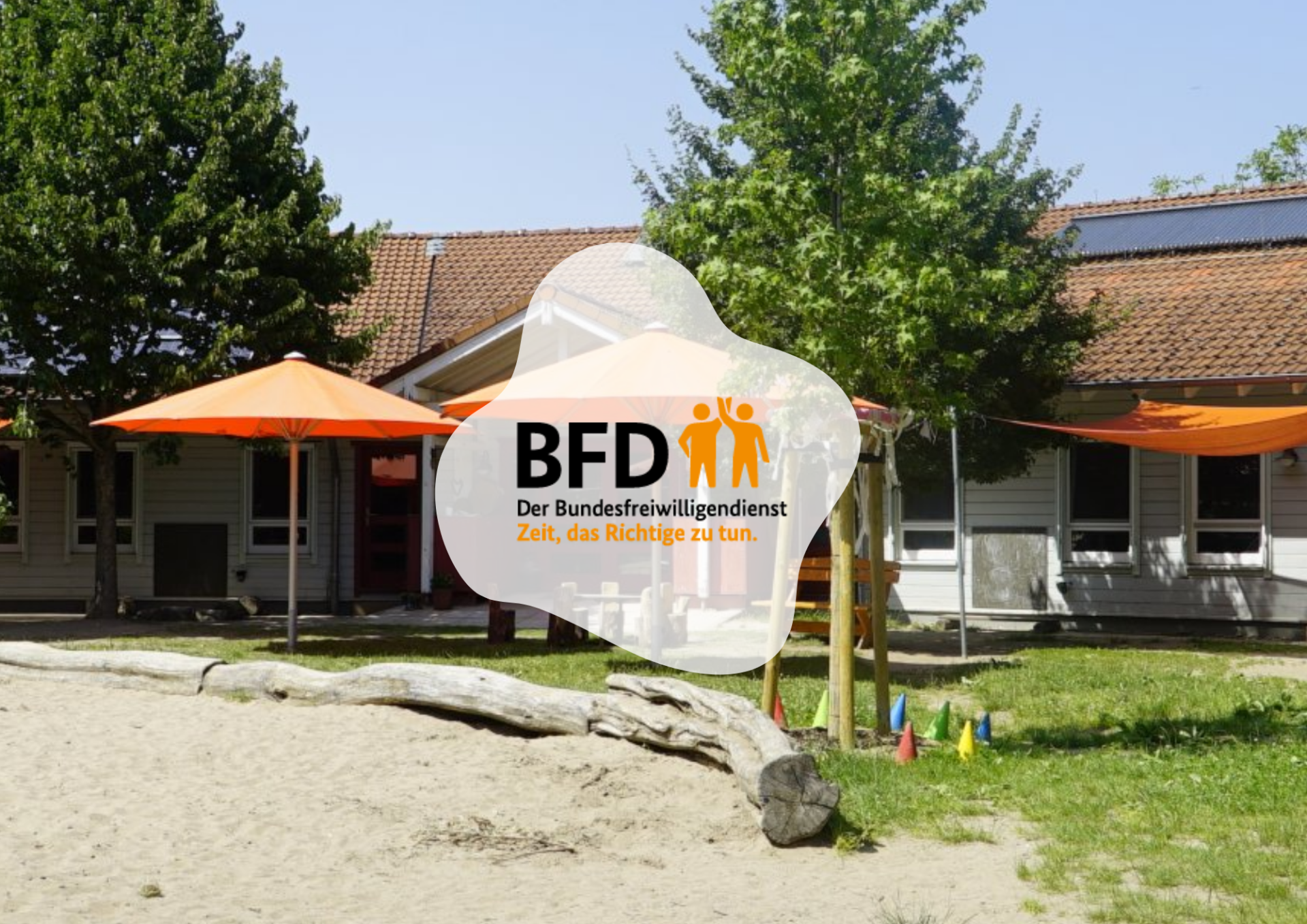 BFD Buntspecht
