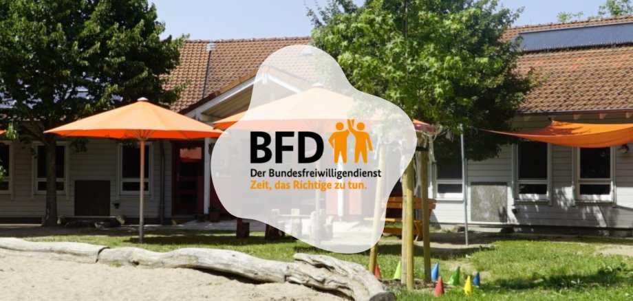 BFD Buntspecht BFD Buntspecht