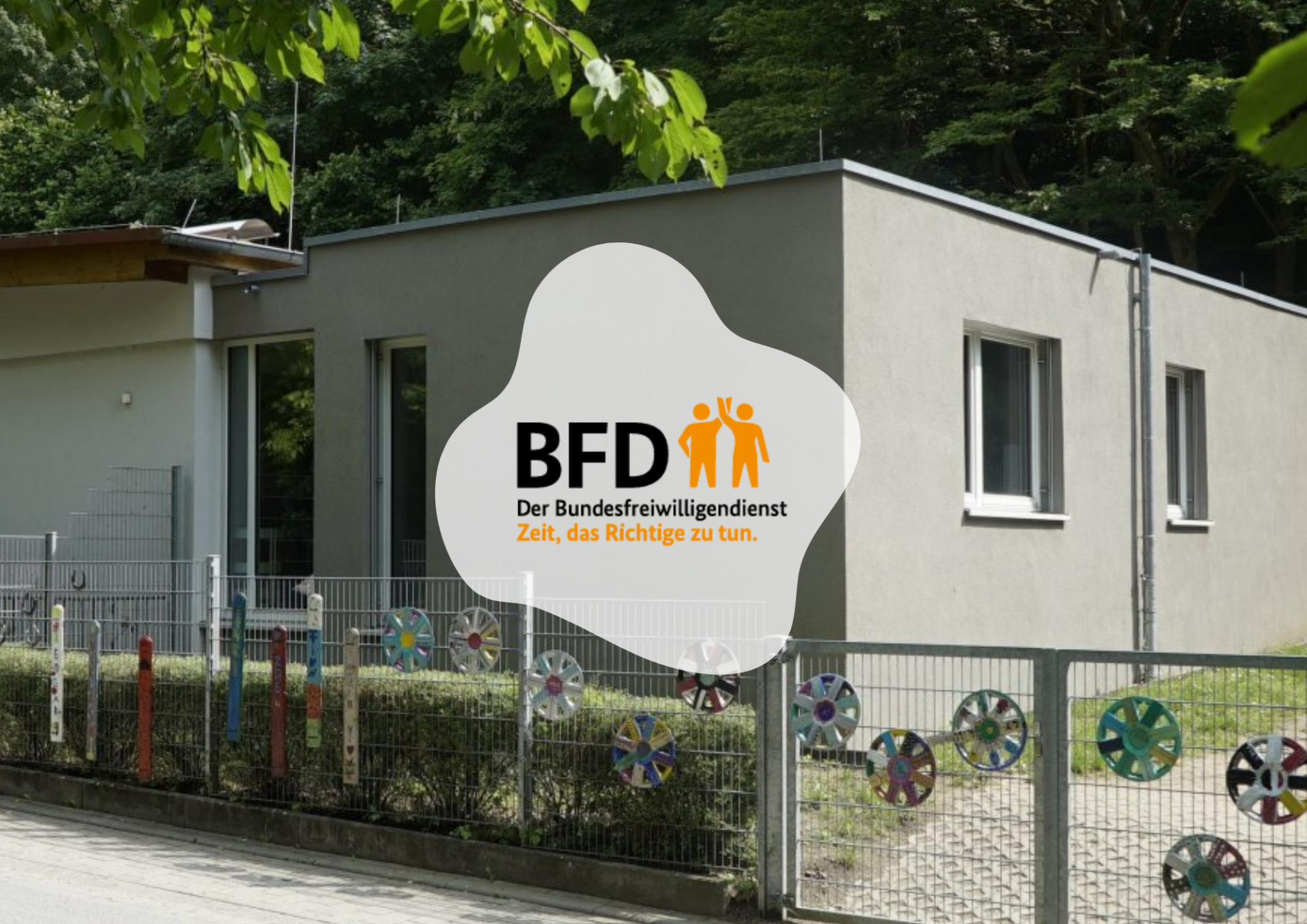 BFD Löwenzahn