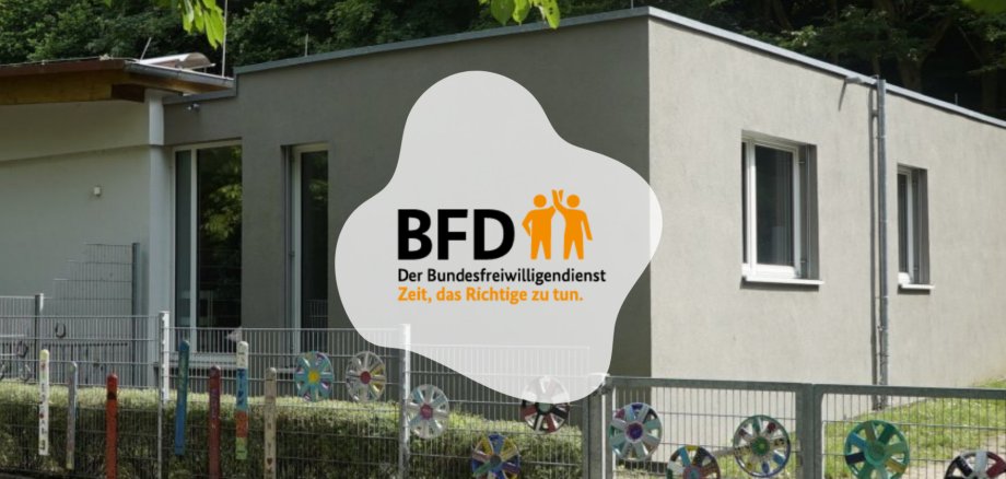 BFD Löwenzahn BFD Löwenzahn