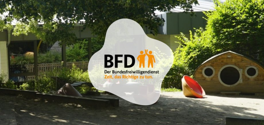BFD Pusteblume BFD Pusteblume