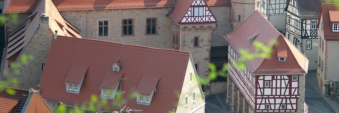 Der Kurmainzer Amtshof