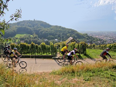 Cycling in the Bergstrasse region