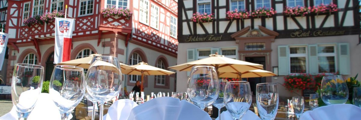 Kirschblüte mit Rebmuttergarten im Hintergrund